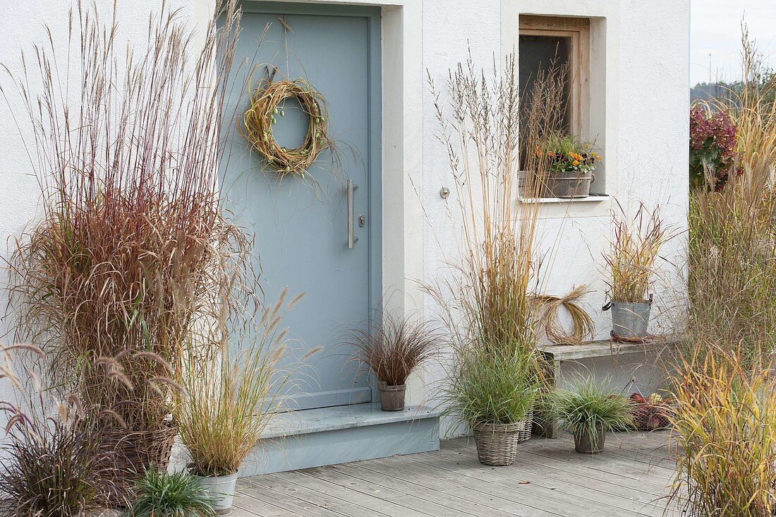 House entrance with grasses in autumn coloration