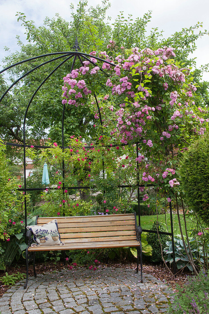 Arbor planted with pink, small, round granite paved terrace, bench