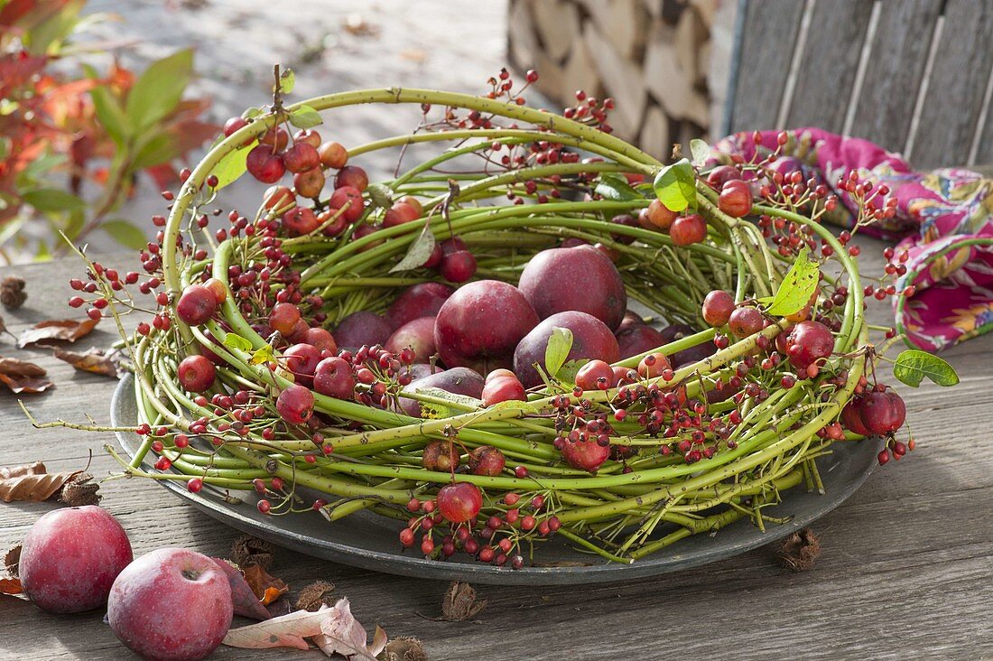 Wreath of cornus twigs filled with apples, ornamental apples