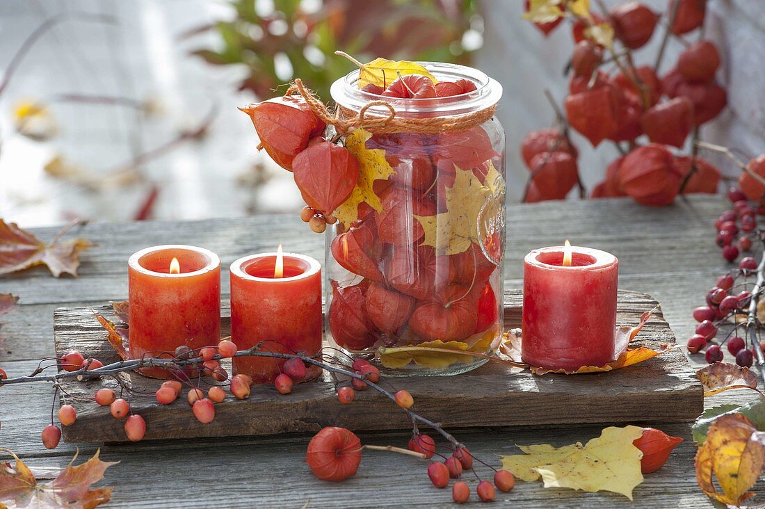 Holz-Schale mit Physalis (Lampions) in Einmachglas und roten Kerzen