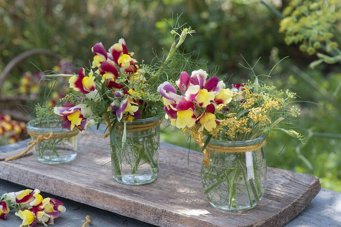 Small bouquets of Antirrhinum (snapdragon) and fennel flowers