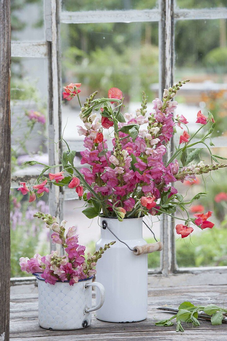 Bouquets in the glasshouse in old enamel vessels