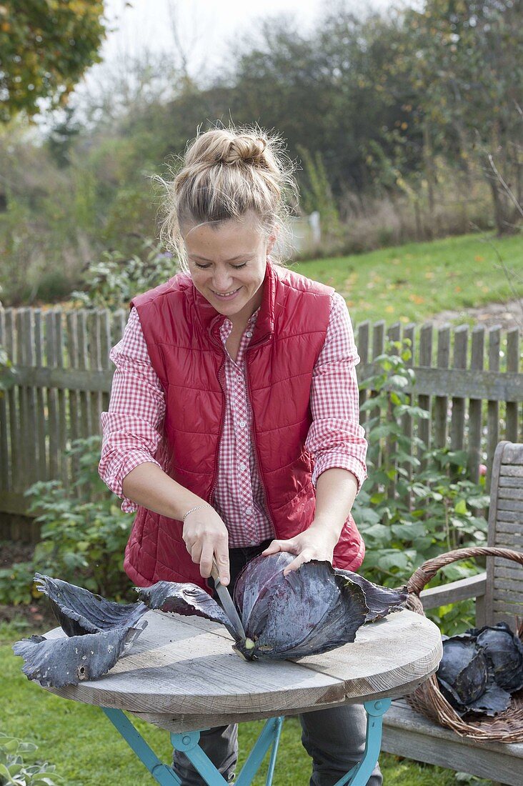 Frau bei der Rotkohl-Ernte