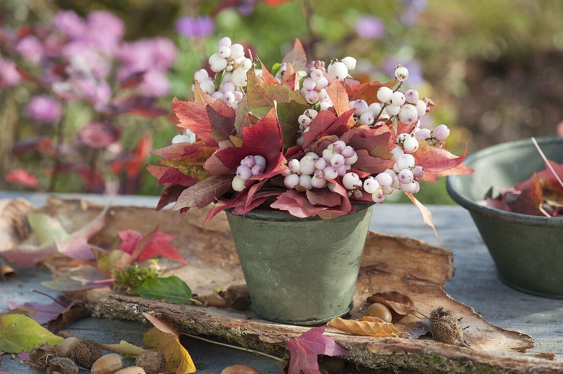 Small bunch of autumn leaves and Symphoricarpos
