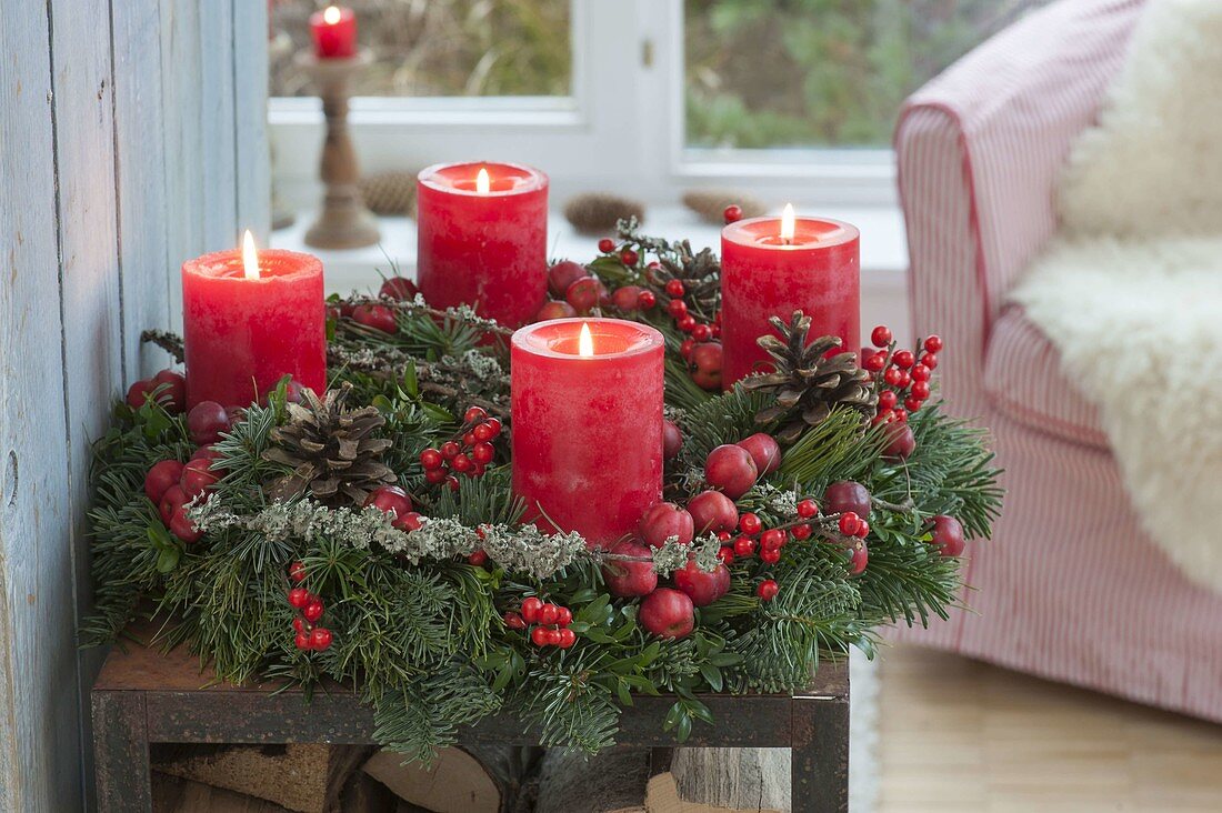 Red-green Advent wreath of mixed coniferous green and Buxus