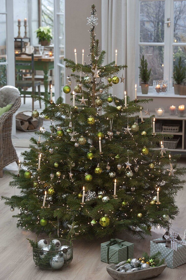 Green-silver Christmas tree