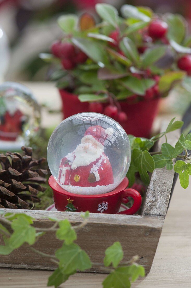 Wooden tray with Gaultheria procumbens, snow globes