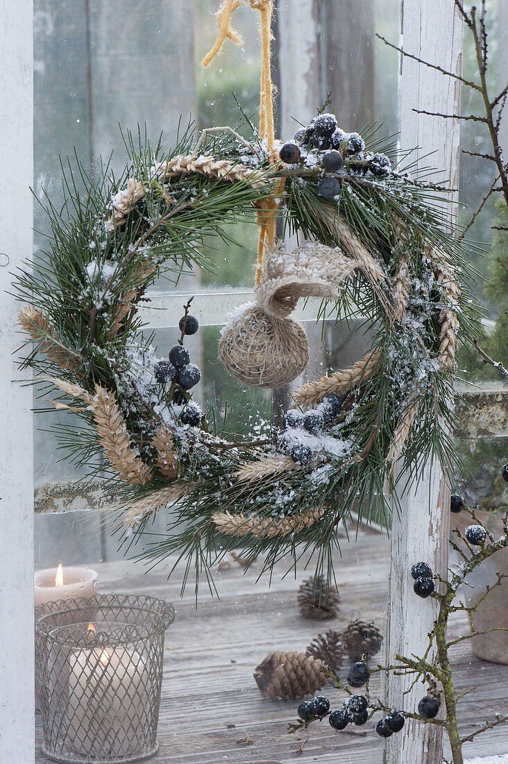 Birdseed wreath made from Pinus (pine), Blackthorn (Prunus spinosa)