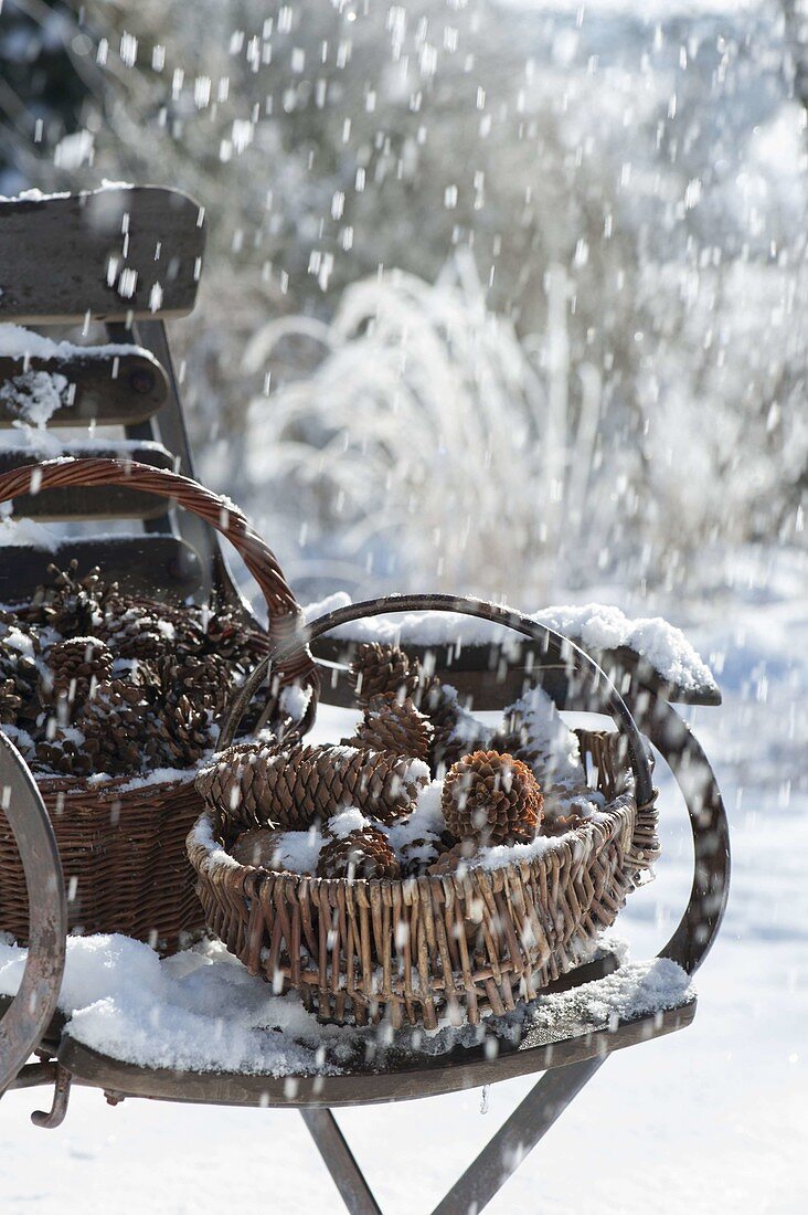 Snow covered baskets with different pine cones on chair