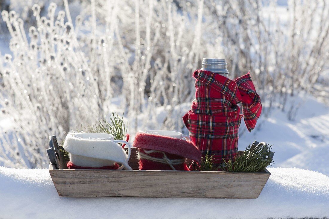 Tray with thermos and cups in winter garden