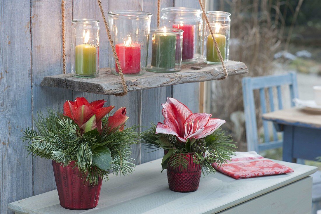 Red glass vases with Hippeastrum and Branches of Abies