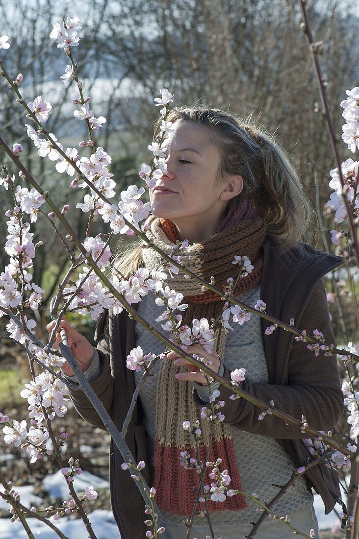Woman sniffs at almond blossoms