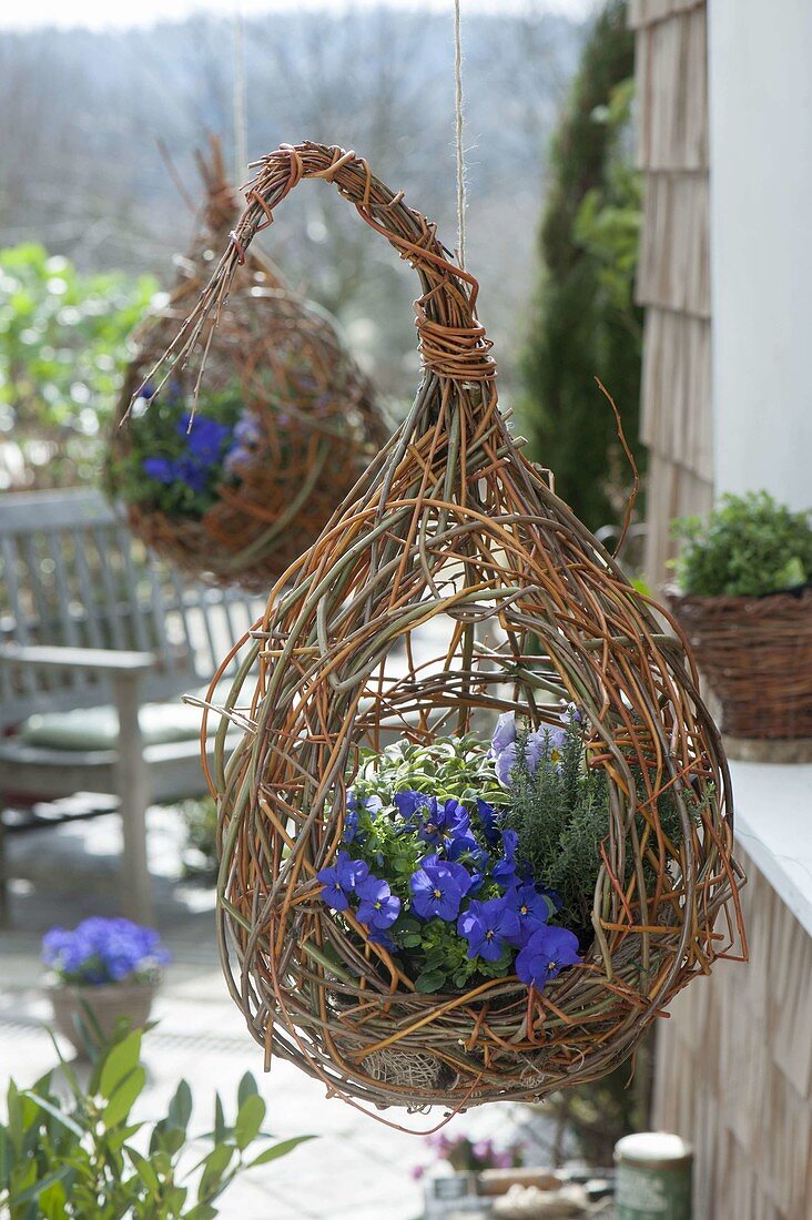 Making a globe basket as a hanging flower basket