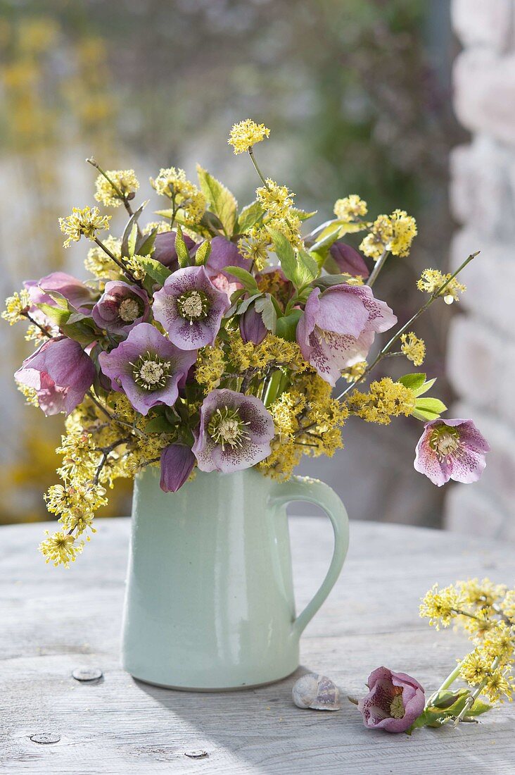 Strauss aus Helleborus orientalis (Lenzrosen) und Zweigen von Cornus mas