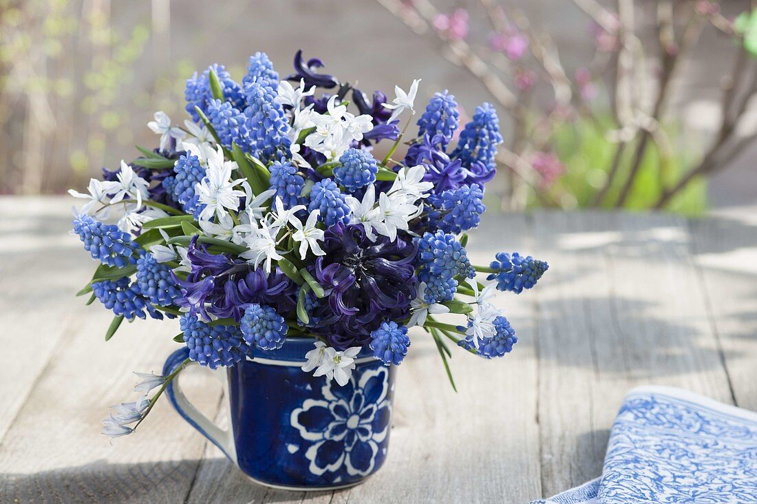 Blue and white Muscari armeniacum (Grape Hyacinth) bouquet