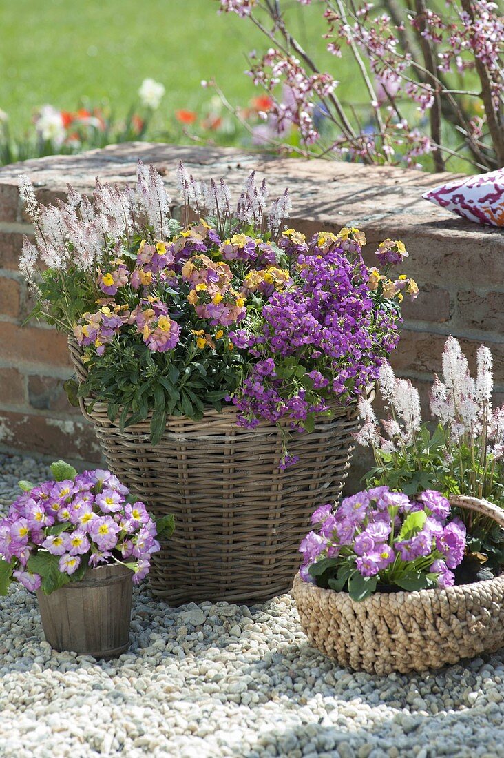 Baskets of perennials and spring flowers on gravel terrace
