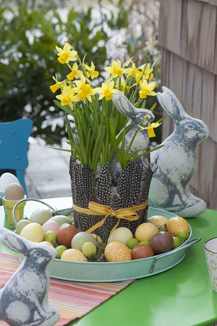 Ostertisch mit Narcissus 'Tete a Tete' (Narzissen) in Topf mit Verkleidung