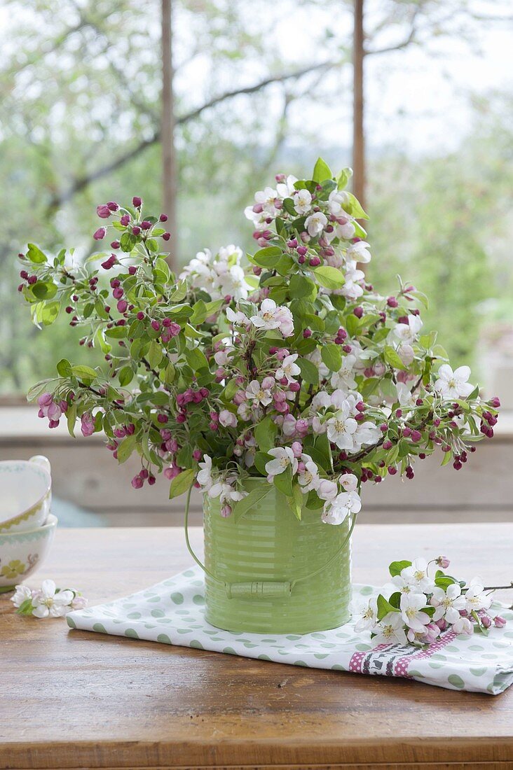 Strauss mit Apfelblueten : Malus 'Evereste' (Zierapfel) mit weissen Blüten