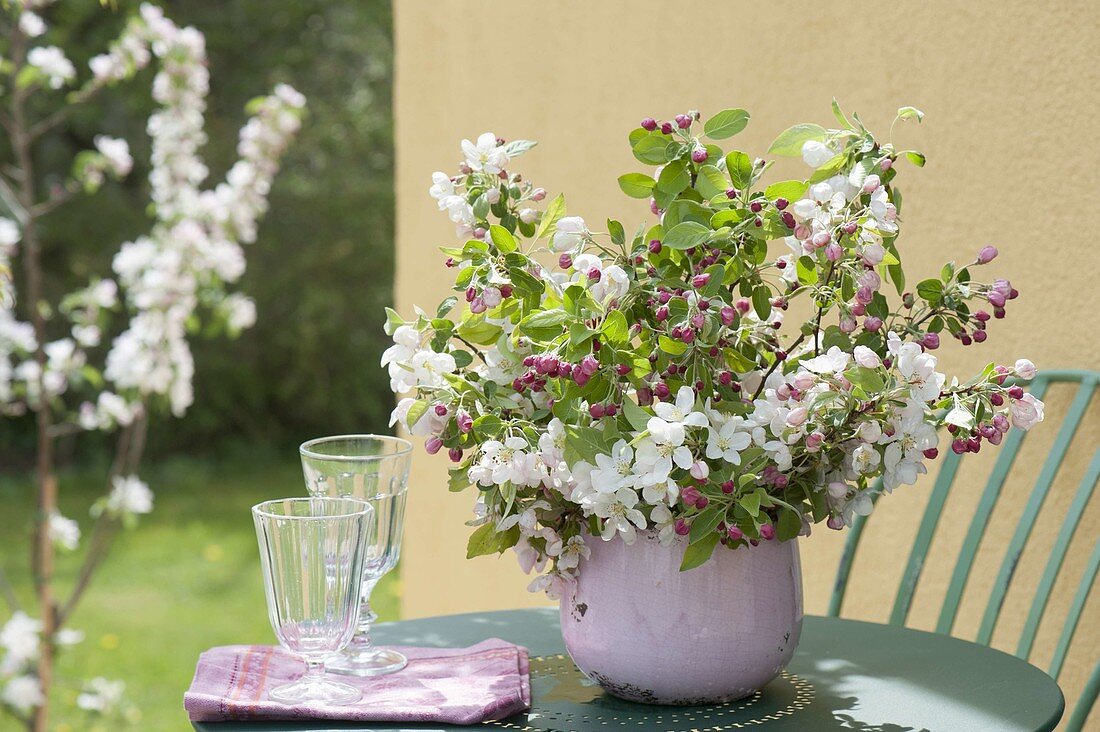 Bouquet with apple blossom malus 'Evereste' with white flowers