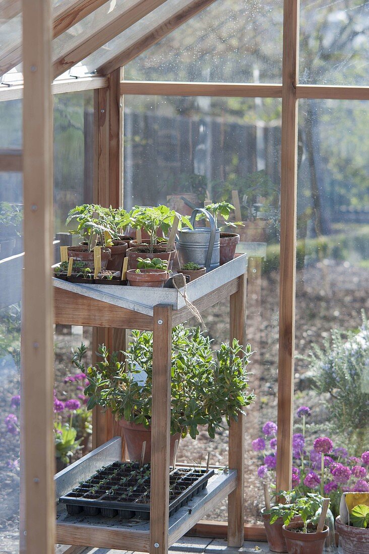 Build and set up the greenhouse
