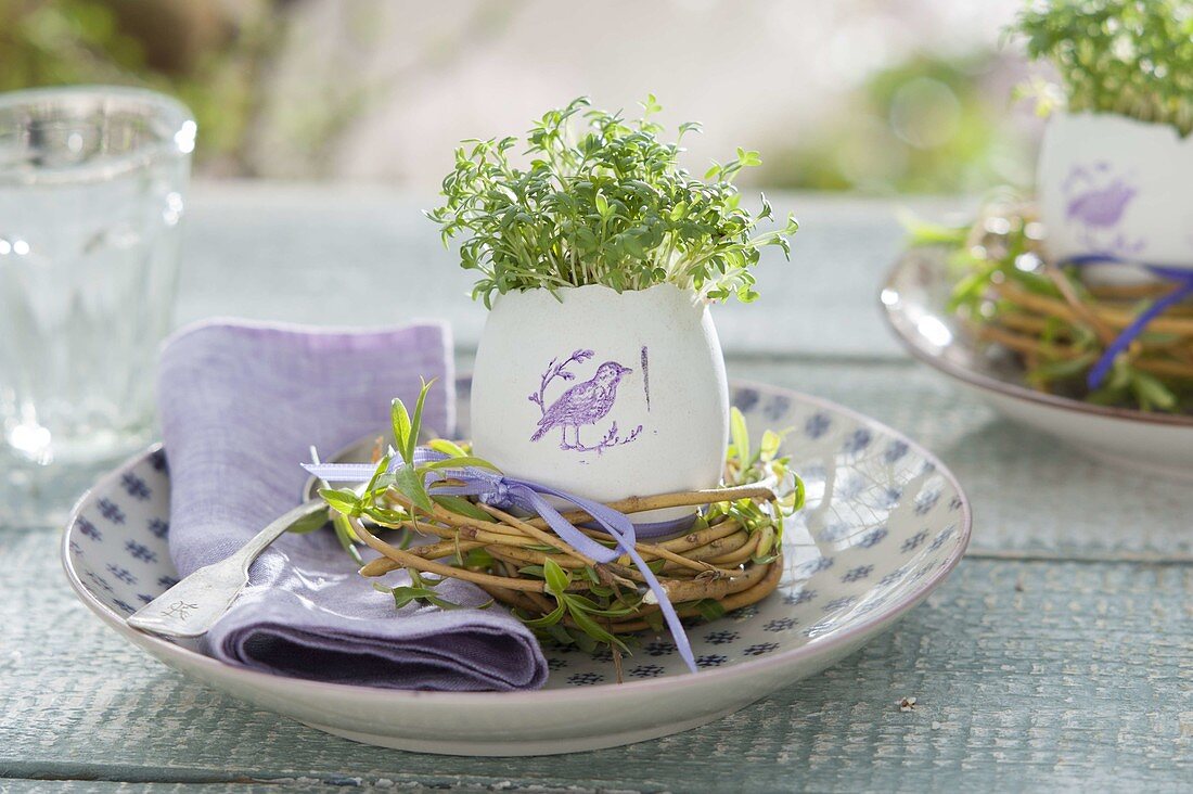 Cress (Lepidium) seeded in duck egg with stamped bird on it