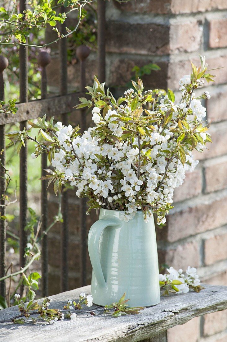 White Prunus avium branches bouquet