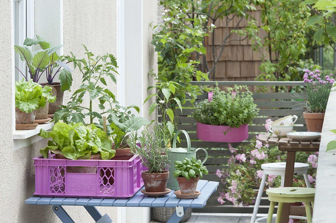 Kleiner Gemüsegarten auf dem Balkon