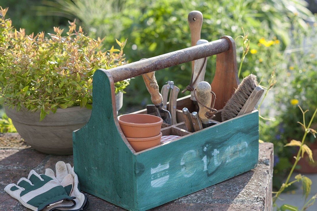 Garden toolbox with strap handle pots, brush, hand scoop