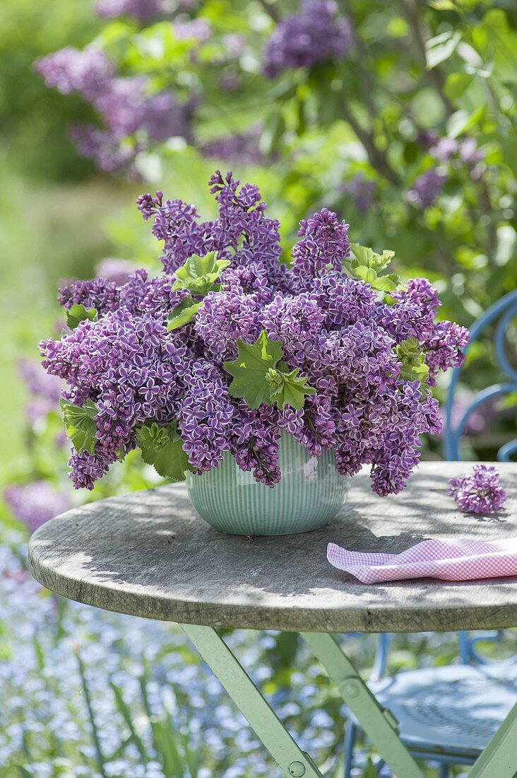 Luscious Syringa vulgaris 'Sensation' (lilac) bouquet