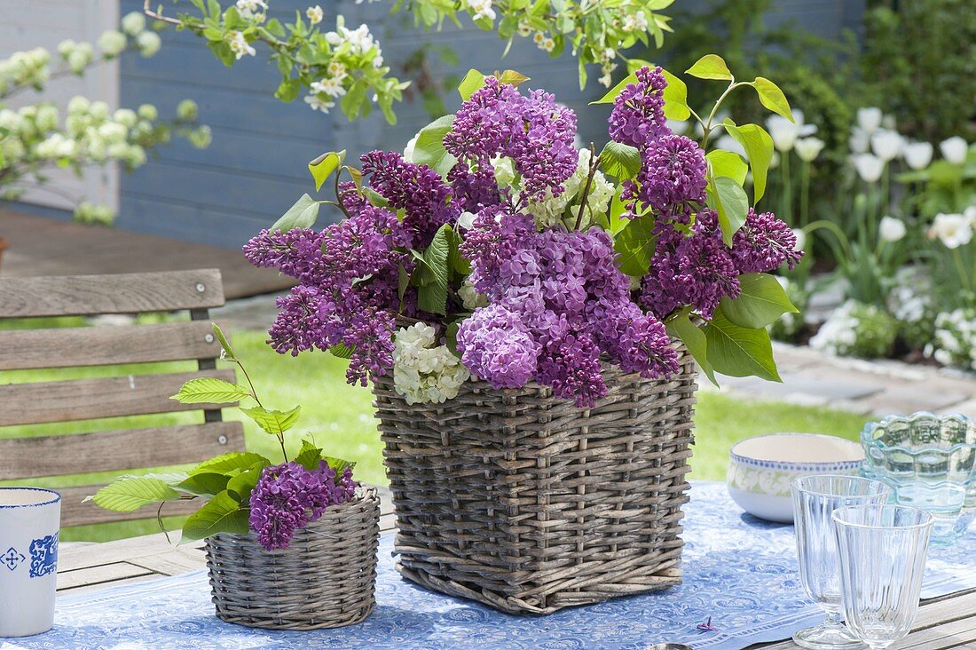 Gesteck aus Syringa (Flieder) in Korb-Vase als Tischdeko