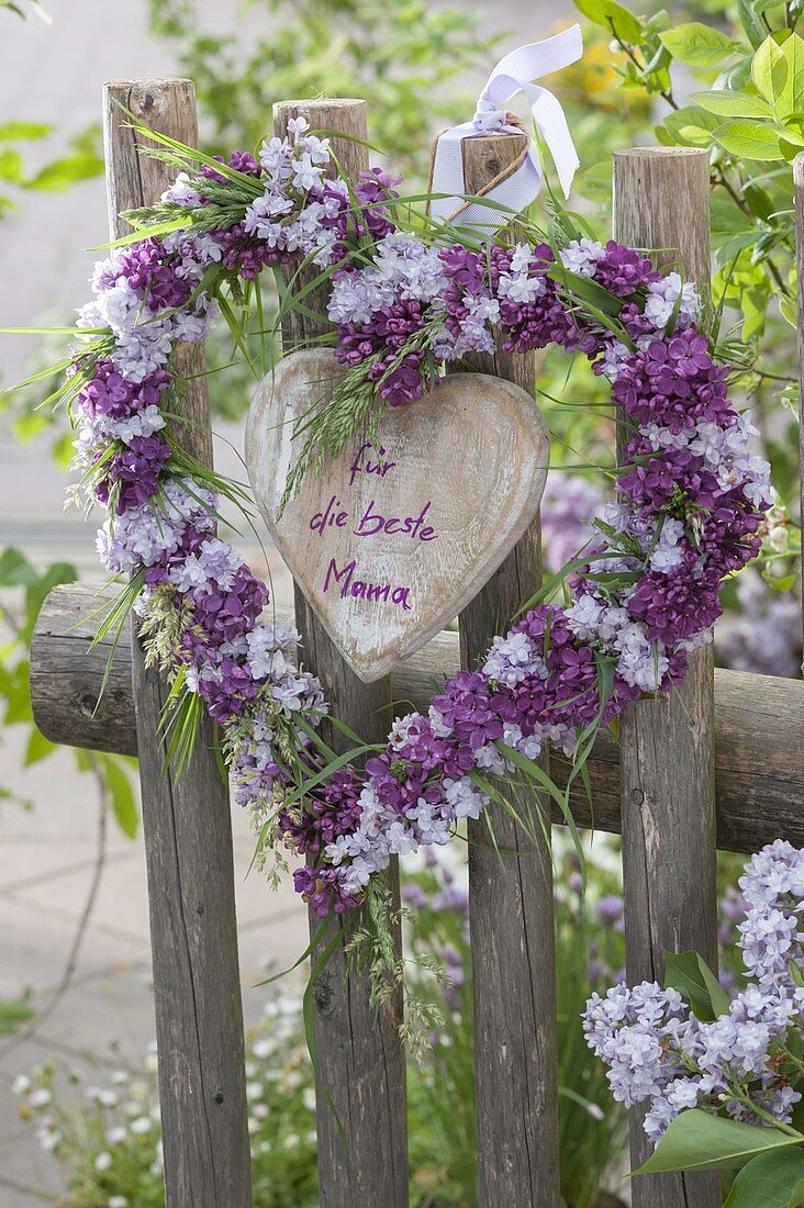 Heart of light and dark flowers of syringa (lilac)