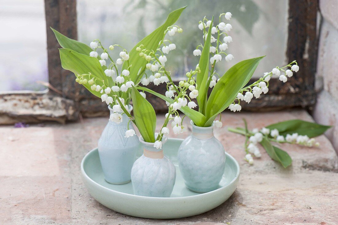 Convallaria (lily of the valley) flowers in small porcelain vases