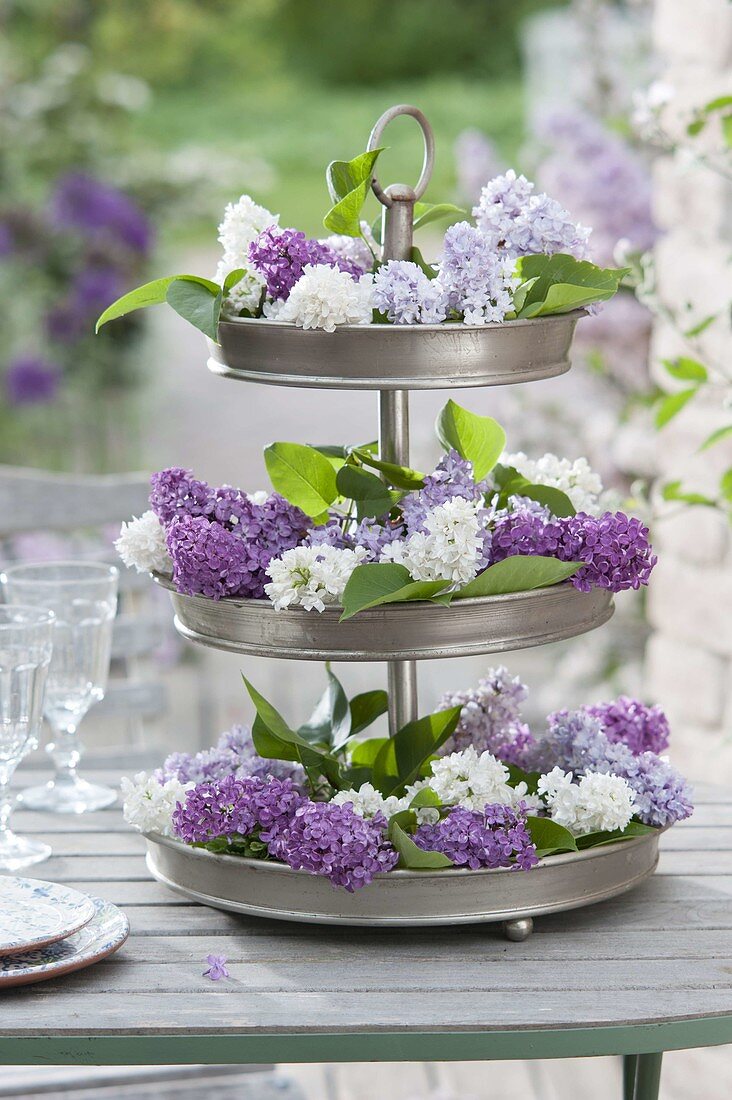 Metal etagere with flowers of syringa (lilac) as a table decoration