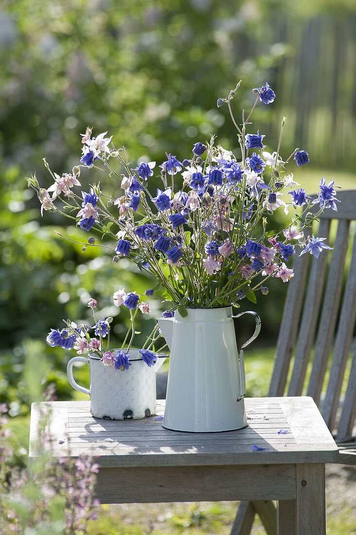 Aquilegia, in enamelled jug and milkpot