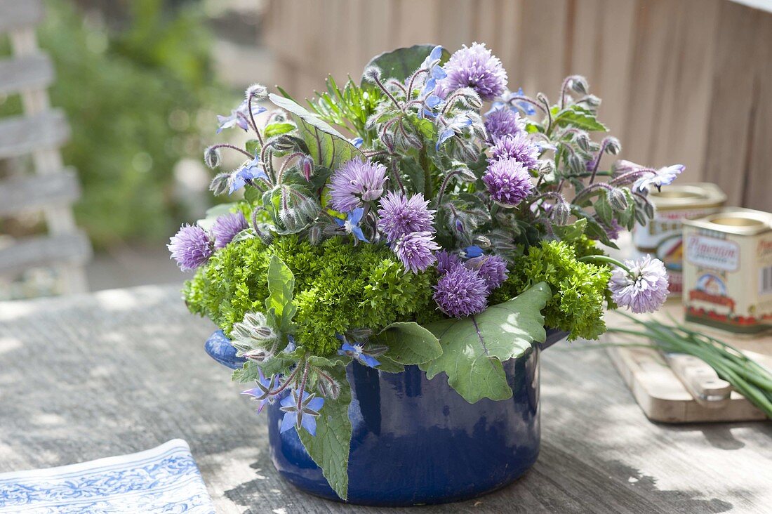 Herbal bouquet in blue saucepan, parsley, chive