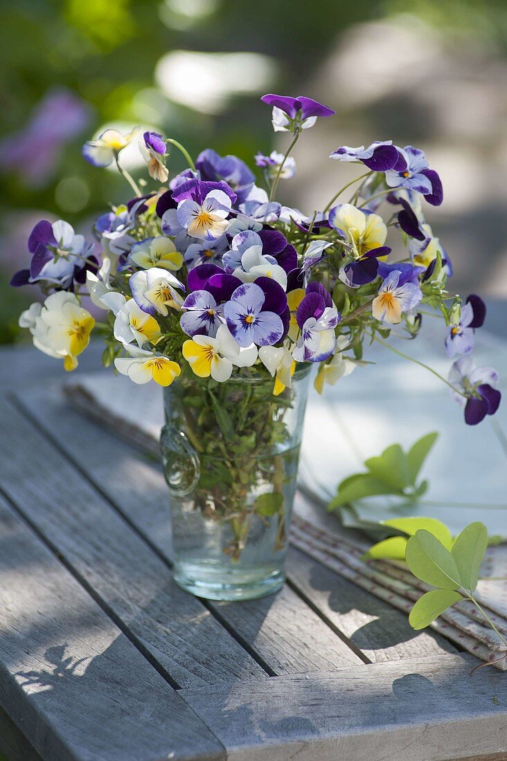 Small viola cornuta (horn violet) bouquet in a glass