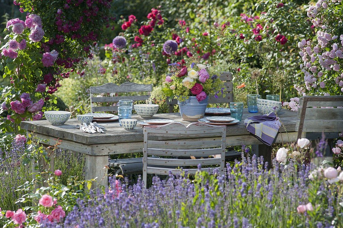 Table laid between flower beds with lavender and pink