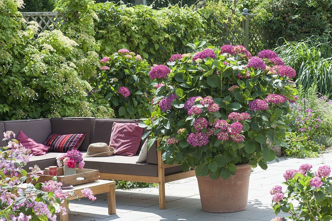 Shaded terrace with lounge area