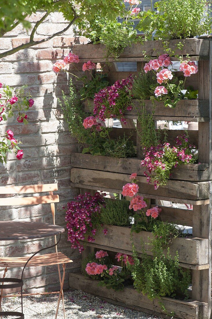 Pallets rebuilt as privacy screens with built-in planters