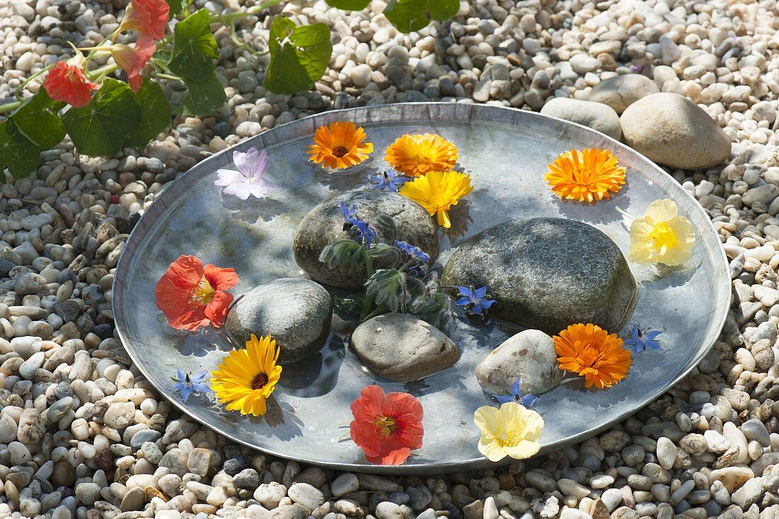 Flat zinc bowl with edible flowers and pebbles in the water