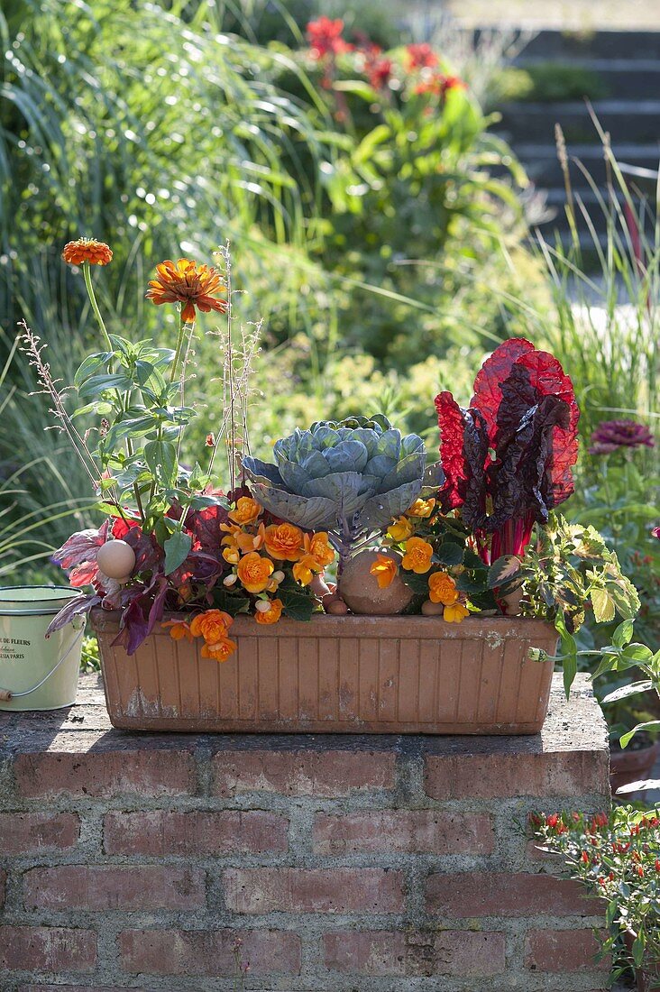 Terracotta box with vegetables and balcony flowers