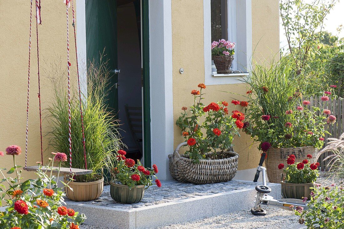 Baskets with zinnias and grasses at the house entrance