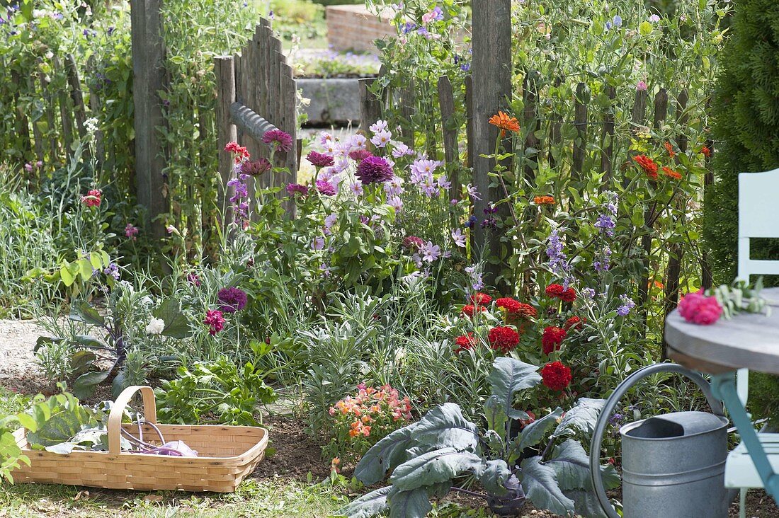 Create a bed of annual summer flowers