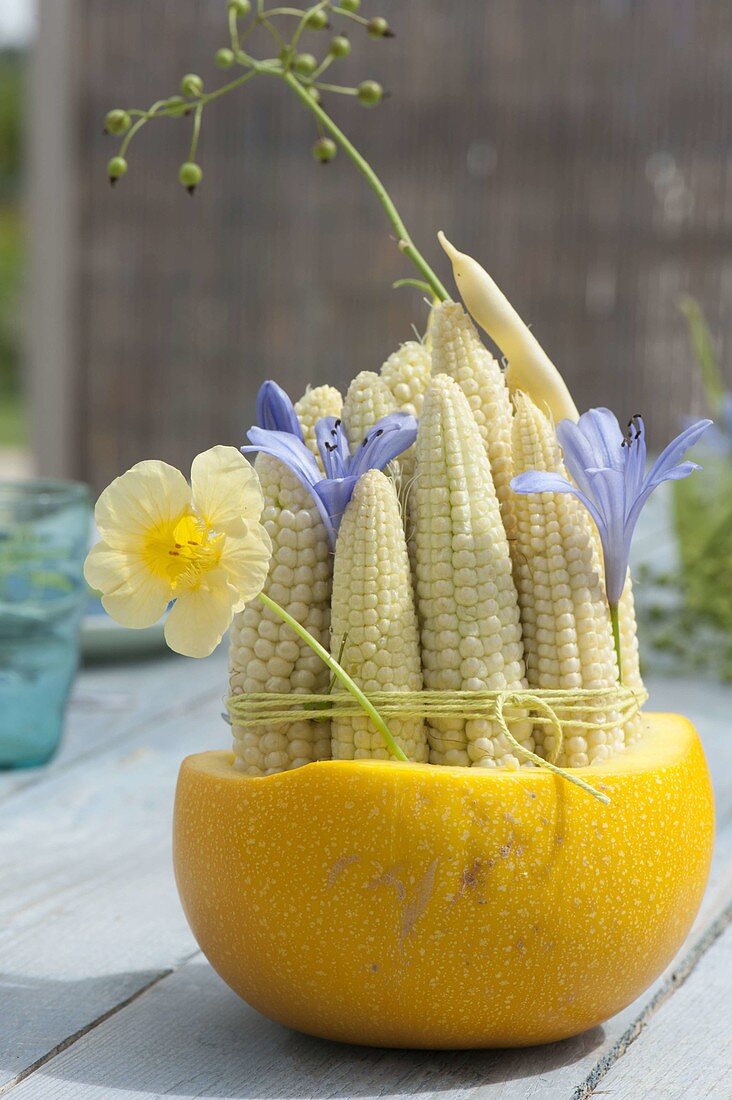 Young corn cobs (Zea mays) tied together and with flowers