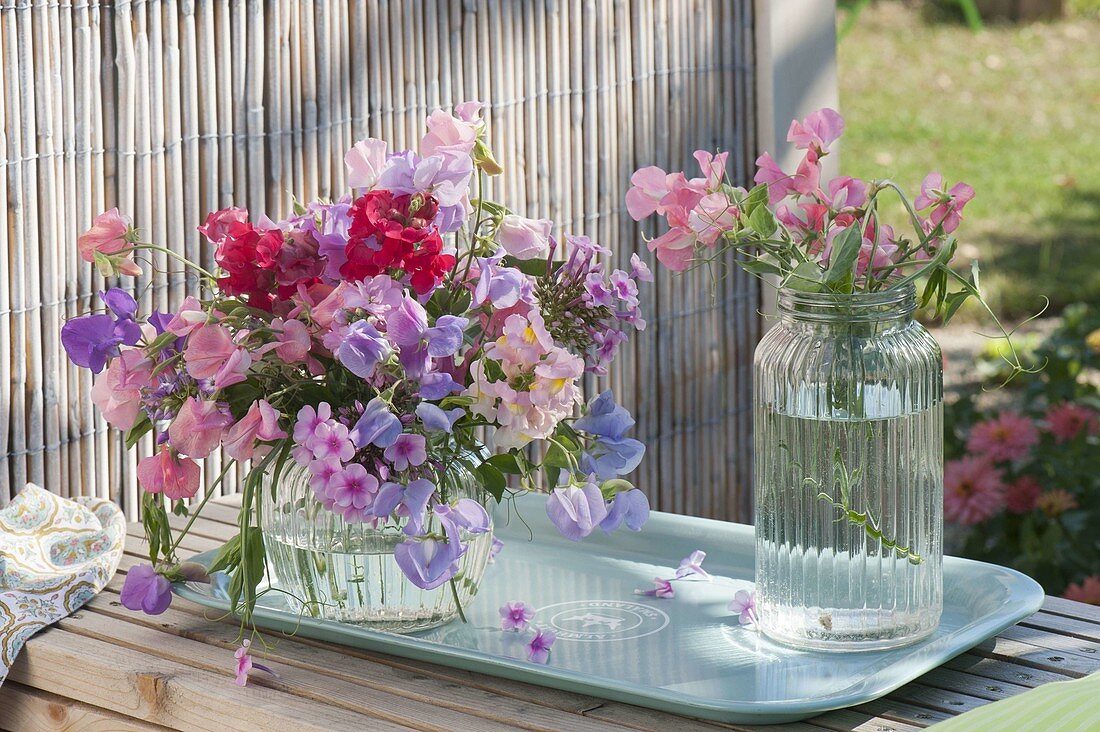 Duftstrauss aus Lathyrus odoratus (Duftwicken), Phlox (Flammenblumen)