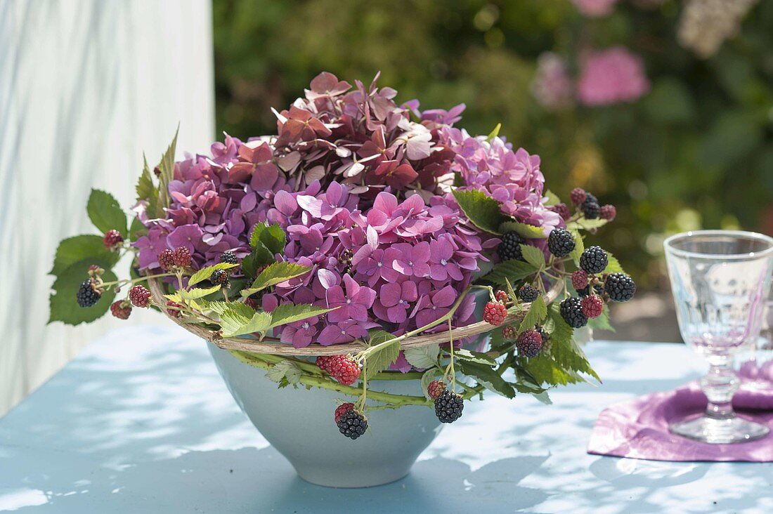 Small bouquet of hydrangea (hydrangea) with tendril of blackberry