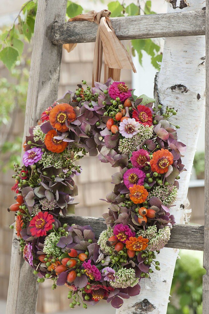 Herbstlicher Kranz aus Hydrangea (Hortensien), Zinnia (Zinnien), Sedum