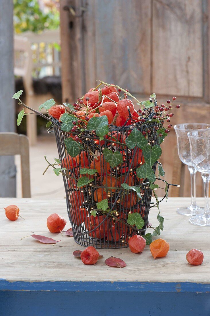 Korb mit Physalis (Lampions), Ranken von Hedera (Efeu), Rosa multiflora