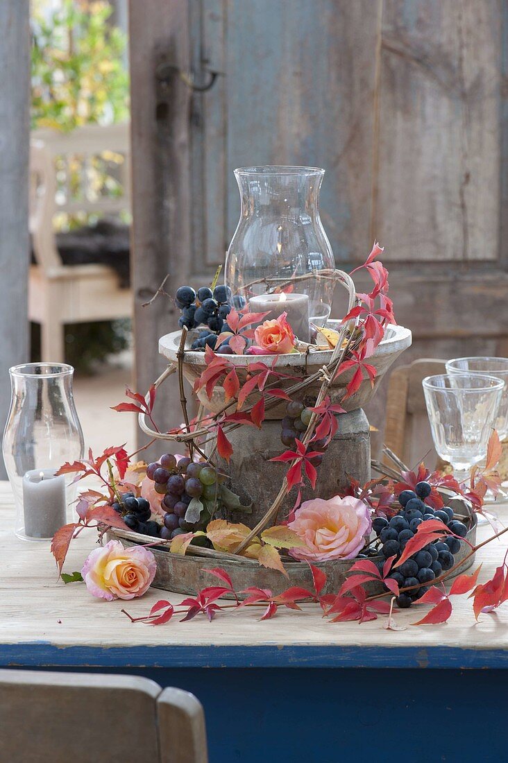 Natuerliche Tischdeko mit Weintrauben (Vitis vinifera), Rosa (Rosen)