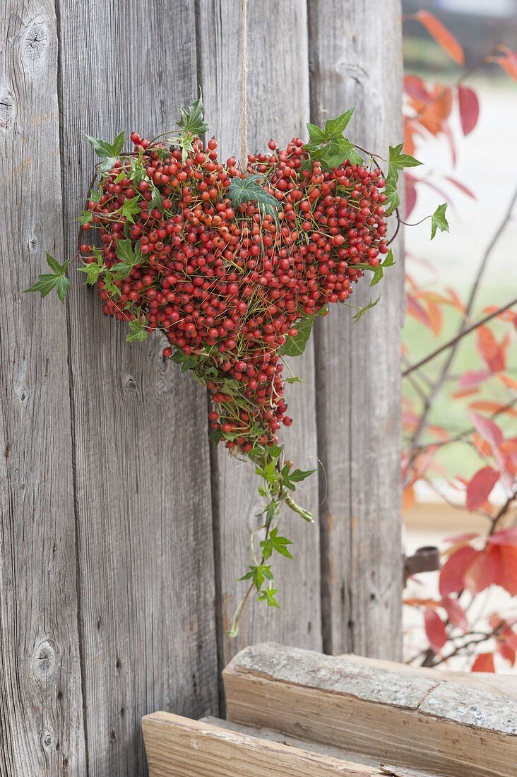Heart tied with pink multiflora (mini rosehip) and hedera